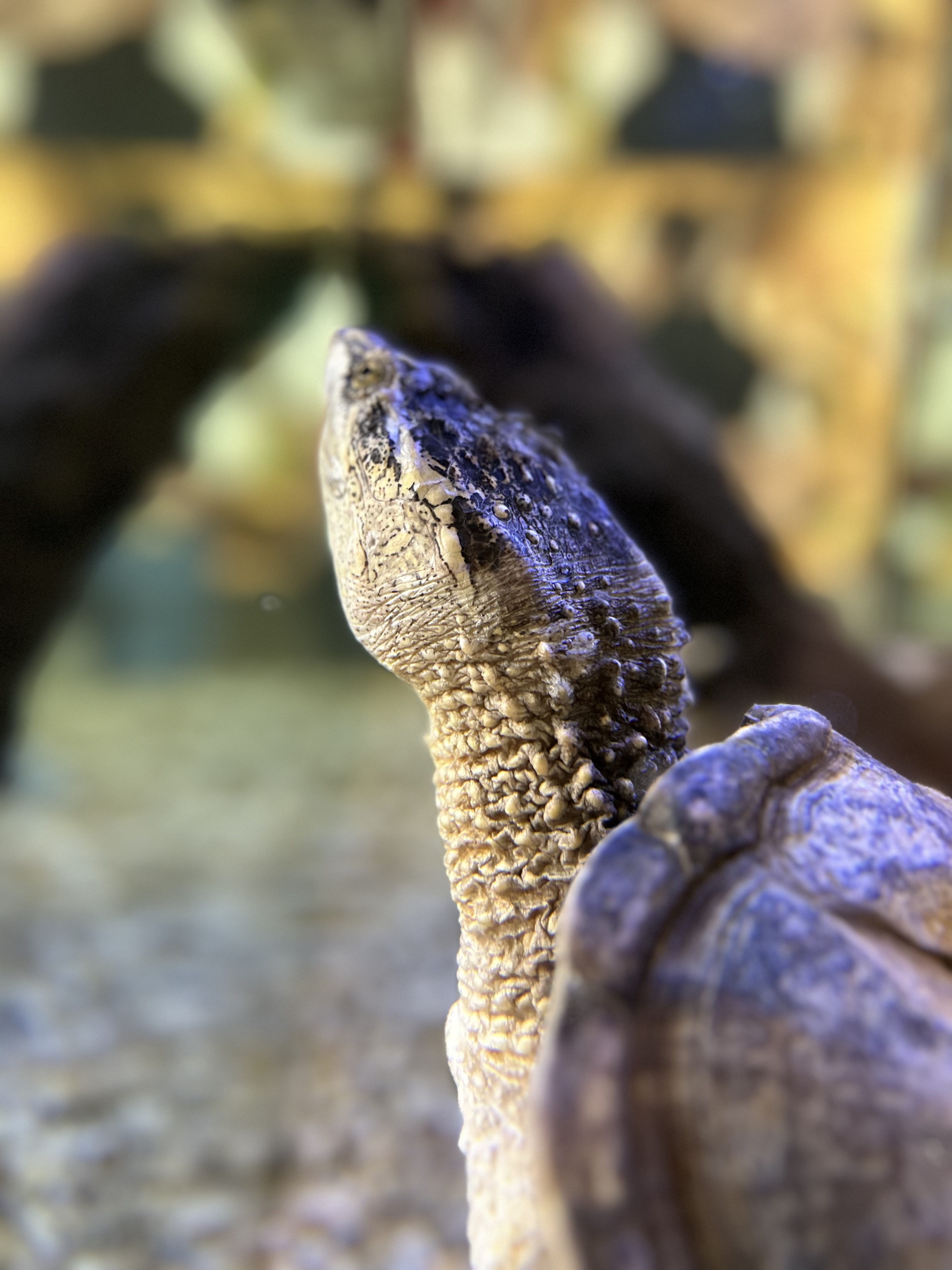 Photo n° 3 de l'avis de chloe.e fait le 26/07/2023 à 15:32