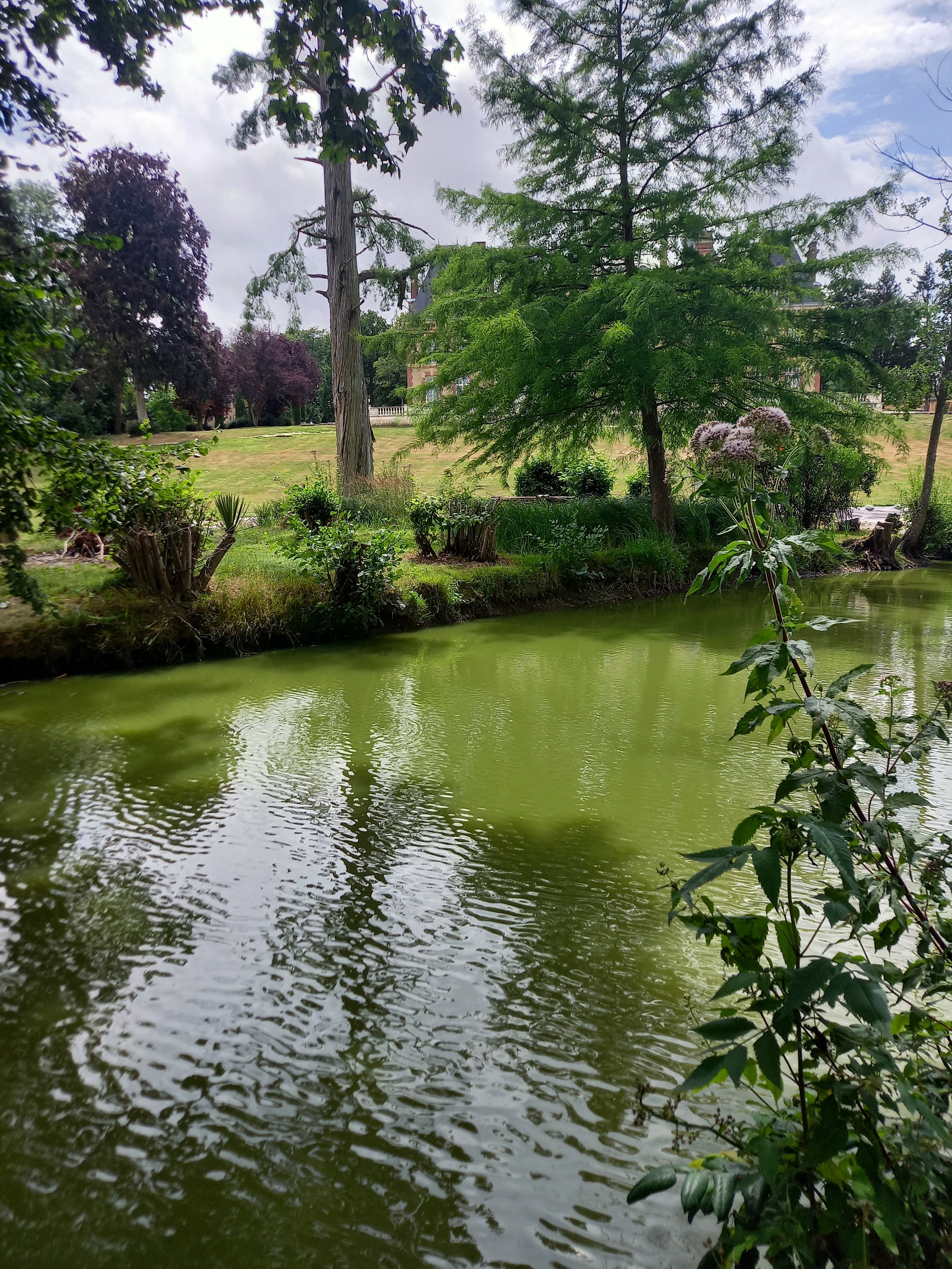 Photo n° 1 de l'avis de Sylvain.o fait le 23/07/2023 à 16:24
