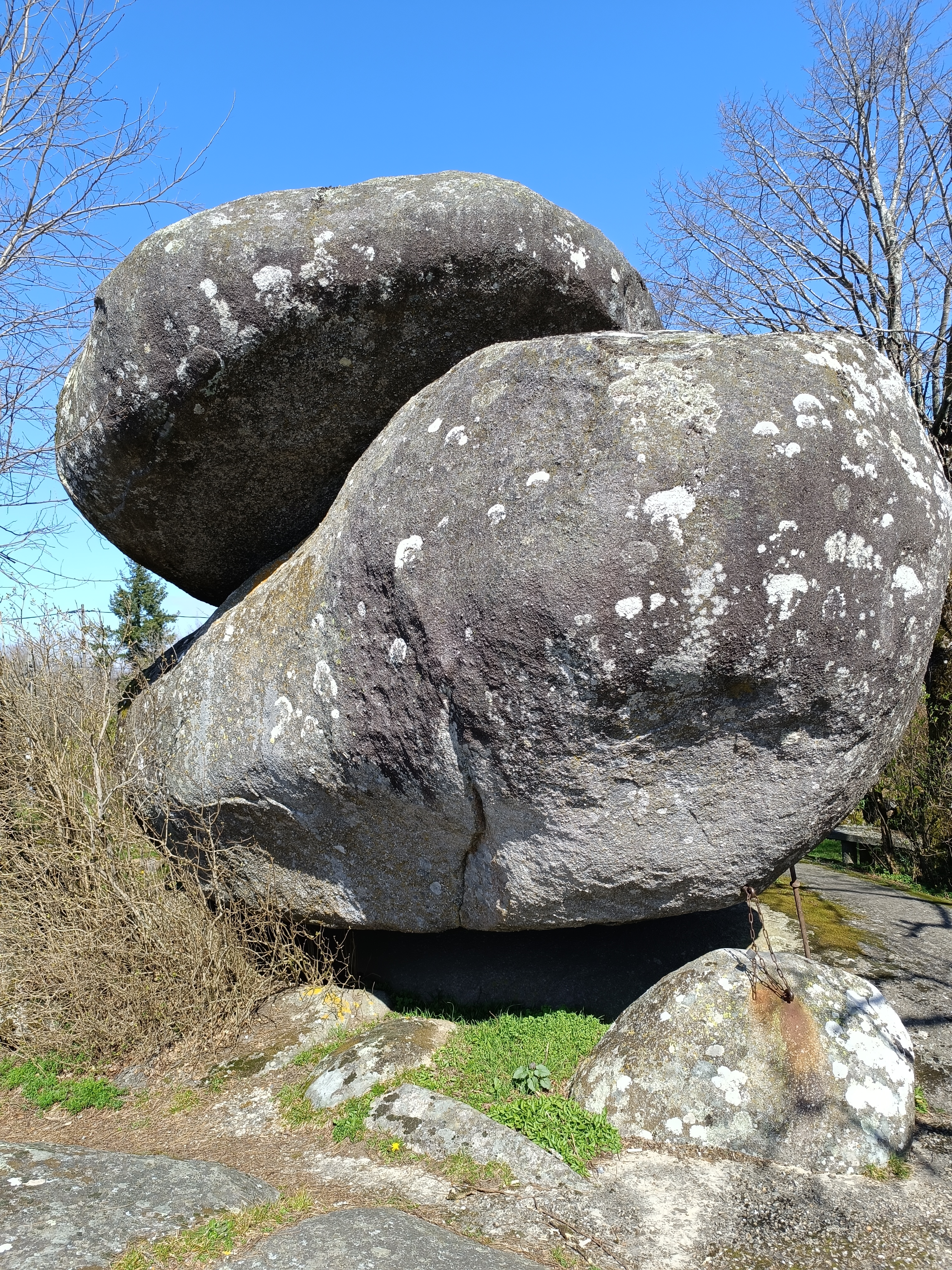 Photo n° 1 de l'avis de Anne.e fait le 17/03/2024 à 18:16