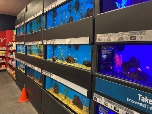 Pet Supply Store «Petco Animal Supplies», reviews and photos, 848 N Colony Rd c, Wallingford, CT 06492, USA