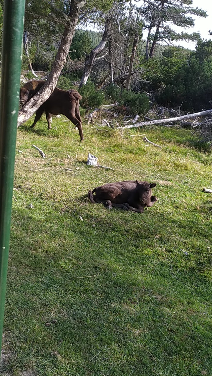 Photo n° 3 de l'avis de Laure.r fait le 27/08/2021 à 14:49