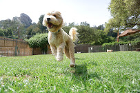 Topanga Pet Resort - Photo 8 - Car repair in Topanga, CA, Simi Valley