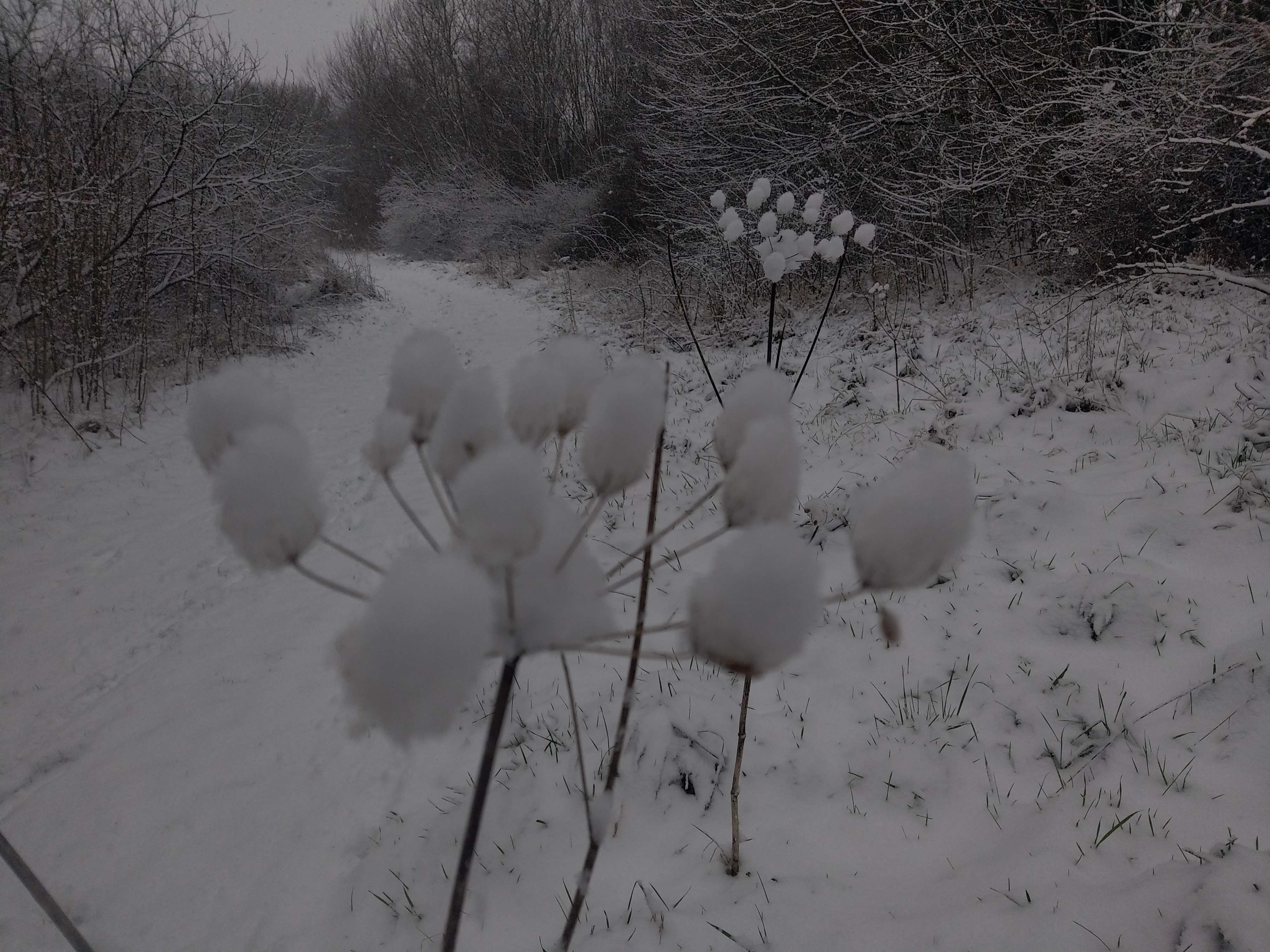 Photo n° 1 de l'avis de Perrine.e fait le 17/01/2024 à 17:53