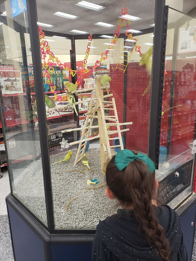 Pet Supply Store «Petco Animal Supplies», reviews and photos, 11976 Dublin Blvd, Dublin, CA 94568, USA