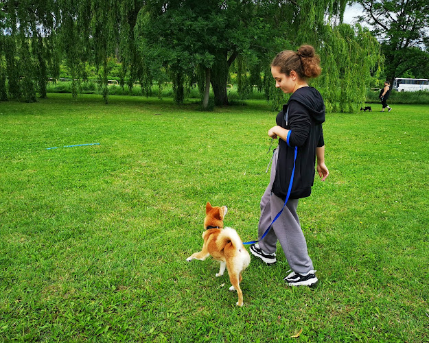 Értékelések erről a helyről: Egri Kutyasuli - Eger legnagyobb Kutyaiskolája, Eger - Iskola
