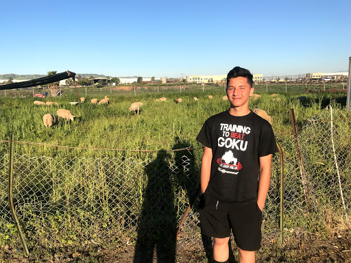 Meat Wholesaler «Lizze Custom Processing», reviews and photos, 7310 Pine Ave, Chino, CA 91708, USA