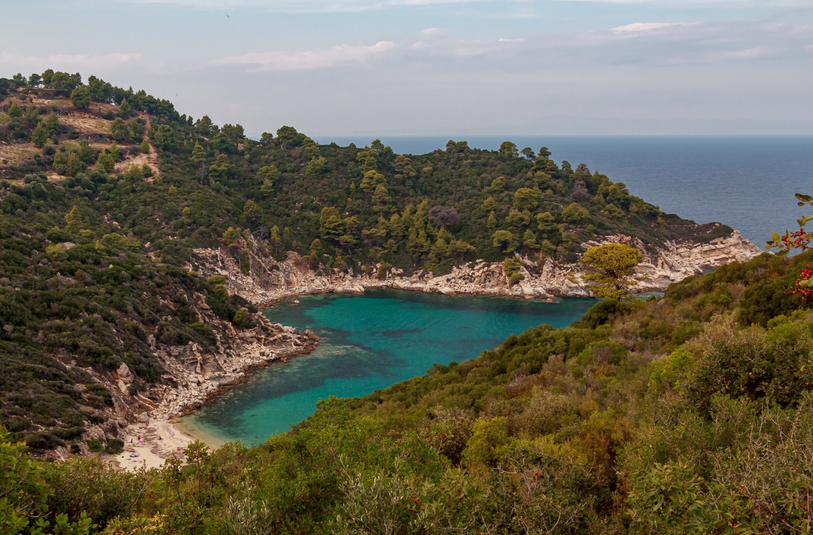 Foto de Sythonia wild beach X com areia brilhante superfície