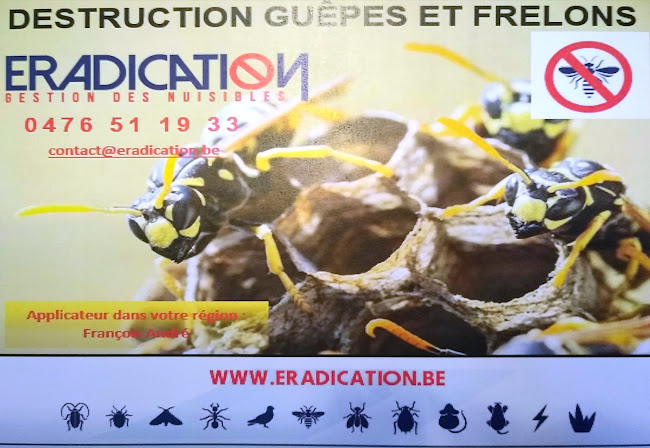 Éradication FA destruction nid de guêpes et frelons - Ander