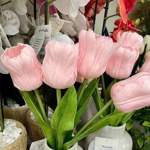 Department Store «Marshalls», reviews and photos, 32 Lyman St, Westborough, MA 01581, USA