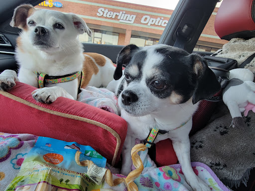 Pet Supply Store «Concord Pet Foods & Supplies», reviews and photos, 19287 Miller Rd, Rehoboth Beach, DE 19971, USA