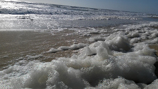 Grocery Store «Sandbridge Seaside Market», reviews and photos, 209 Sandbridge Rd, Virginia Beach, VA 23456, USA