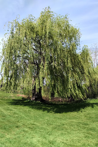 Public Golf Course «Glenhurst Golf Course», reviews and photos, 25345 W 6 Mile Rd, Redford Charter Twp, MI 48240, USA