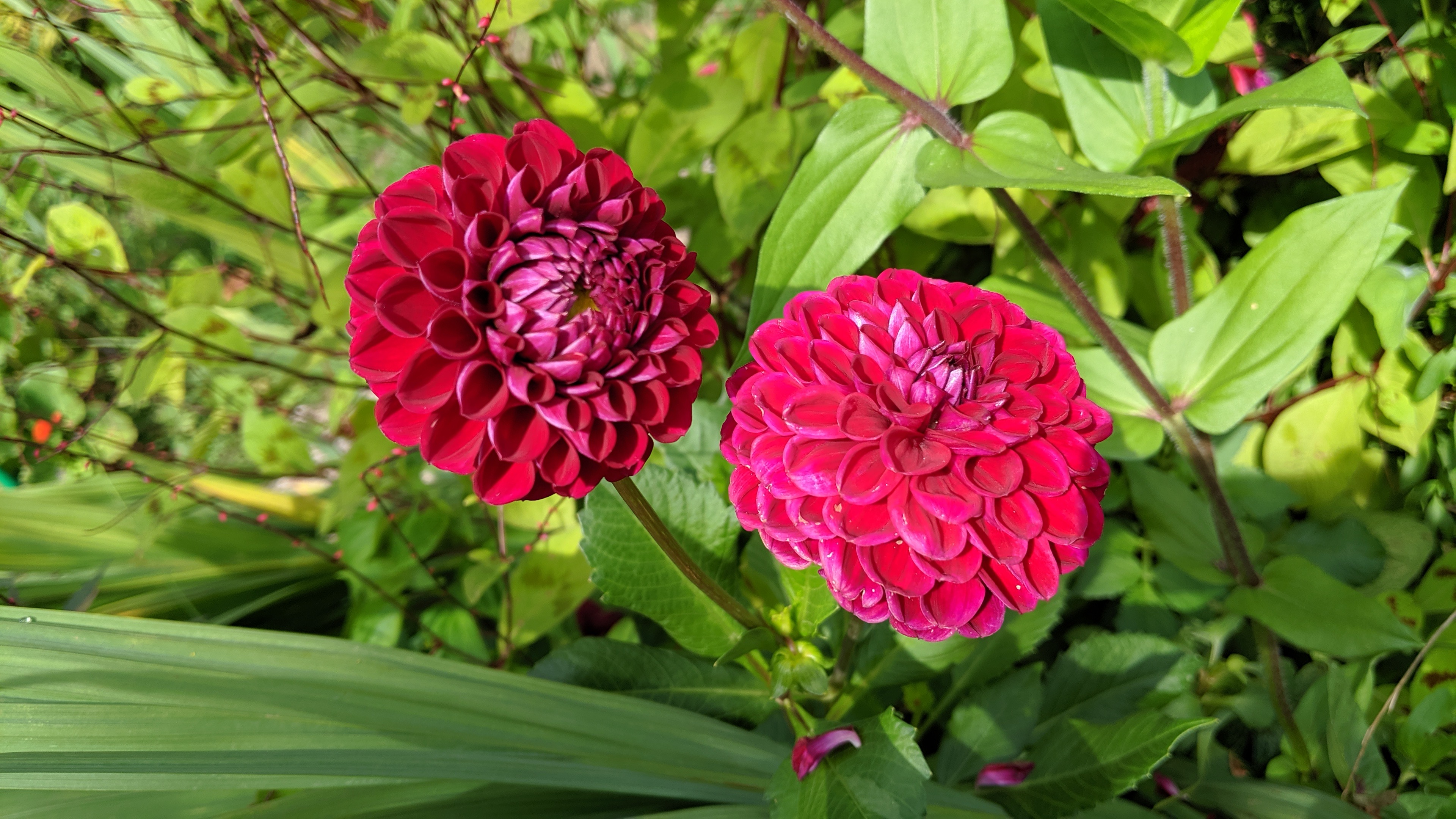 Photo n° 26 de l'avis de Tristan.a fait le 09/08/2021 à 16:22