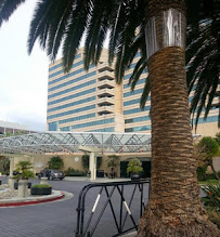 Professionals Guild, the Ultimate Dance Party - Photo 8 - Car repair in , Concord