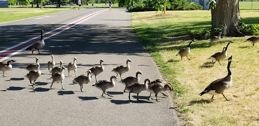 Park «Washington Park», reviews and photos, 701 S Franklin St, Denver, CO 80209, USA