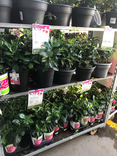 Home Improvement Store «The Home Depot», reviews and photos, 955 Bloomfield Ave, Clifton, NJ 07012, USA