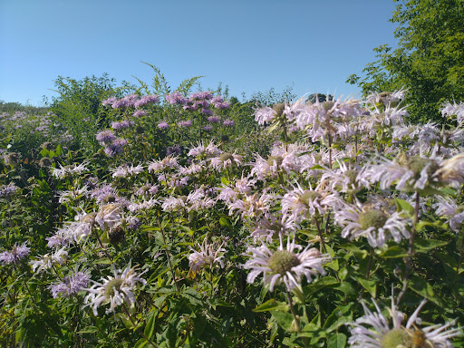 Nature Preserve «Fort Sheridan Forest Preserve», reviews and photos, 117 Sheridan Rd, Lake Forest, IL 60045, USA