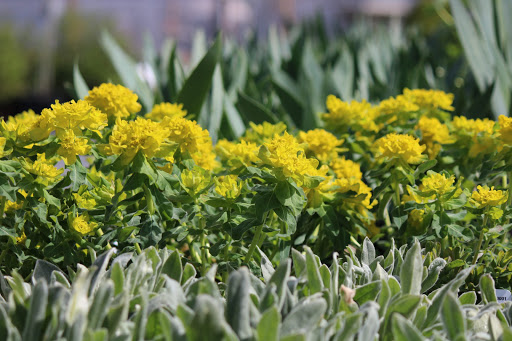 Park «Depot Park», reviews and photos, 120 South Rd, Bedford, MA 01730, USA