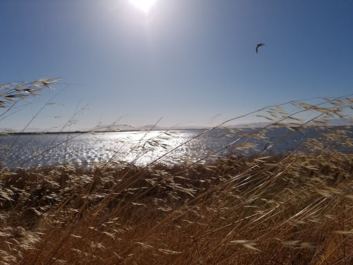 Nature Preserve «Cullinan Ranch», reviews and photos, 1158 Sears Point Rd, Vallejo, CA 94592, USA