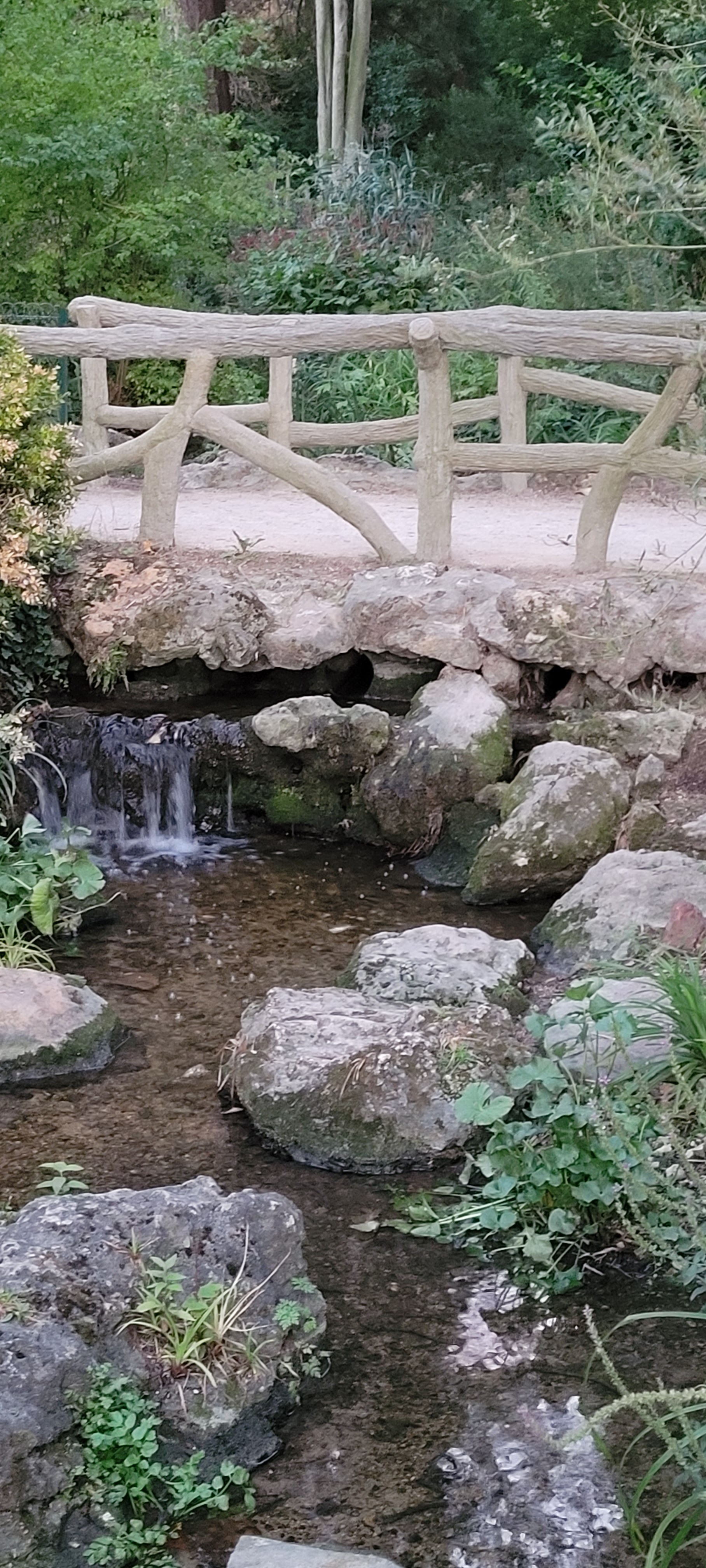 Photo n° 1 de l'avis de Siromiel.o fait le 21/08/2022 à 20:03