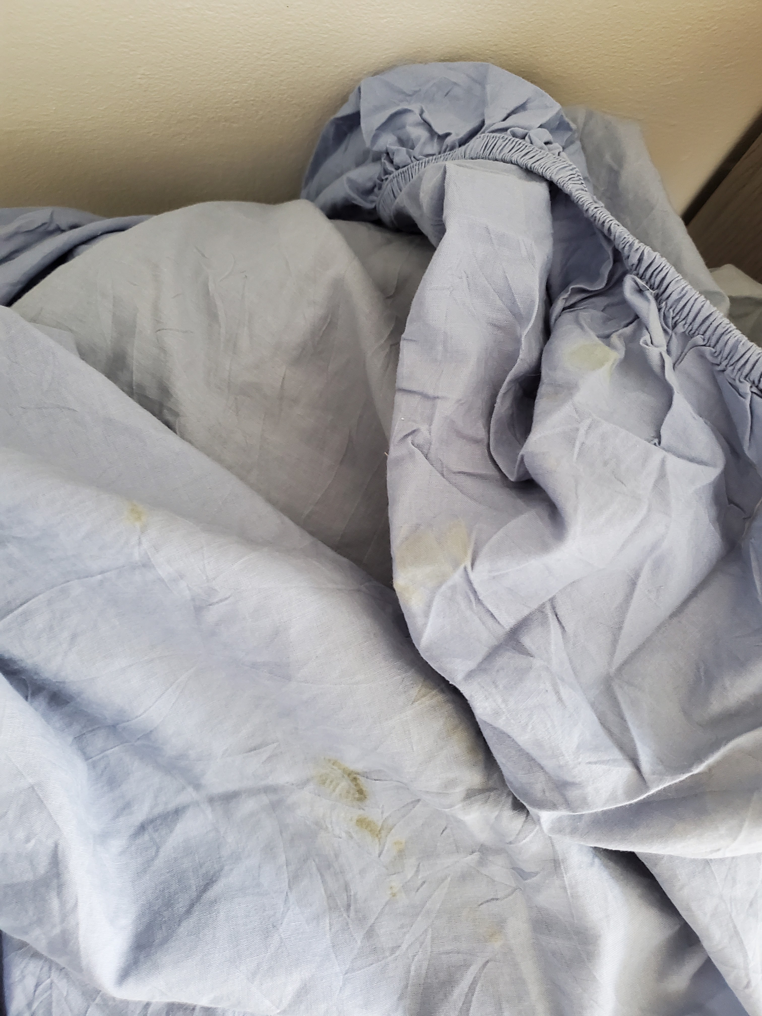 Photo n° 1 de l'avis de Évanescence.b fait le 03/07/2022 à 15:04