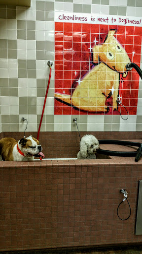 Pet Supply Store «Pet Food Express», reviews and photos, 9153 W Olympic Blvd, Beverly Hills, CA 90212, USA