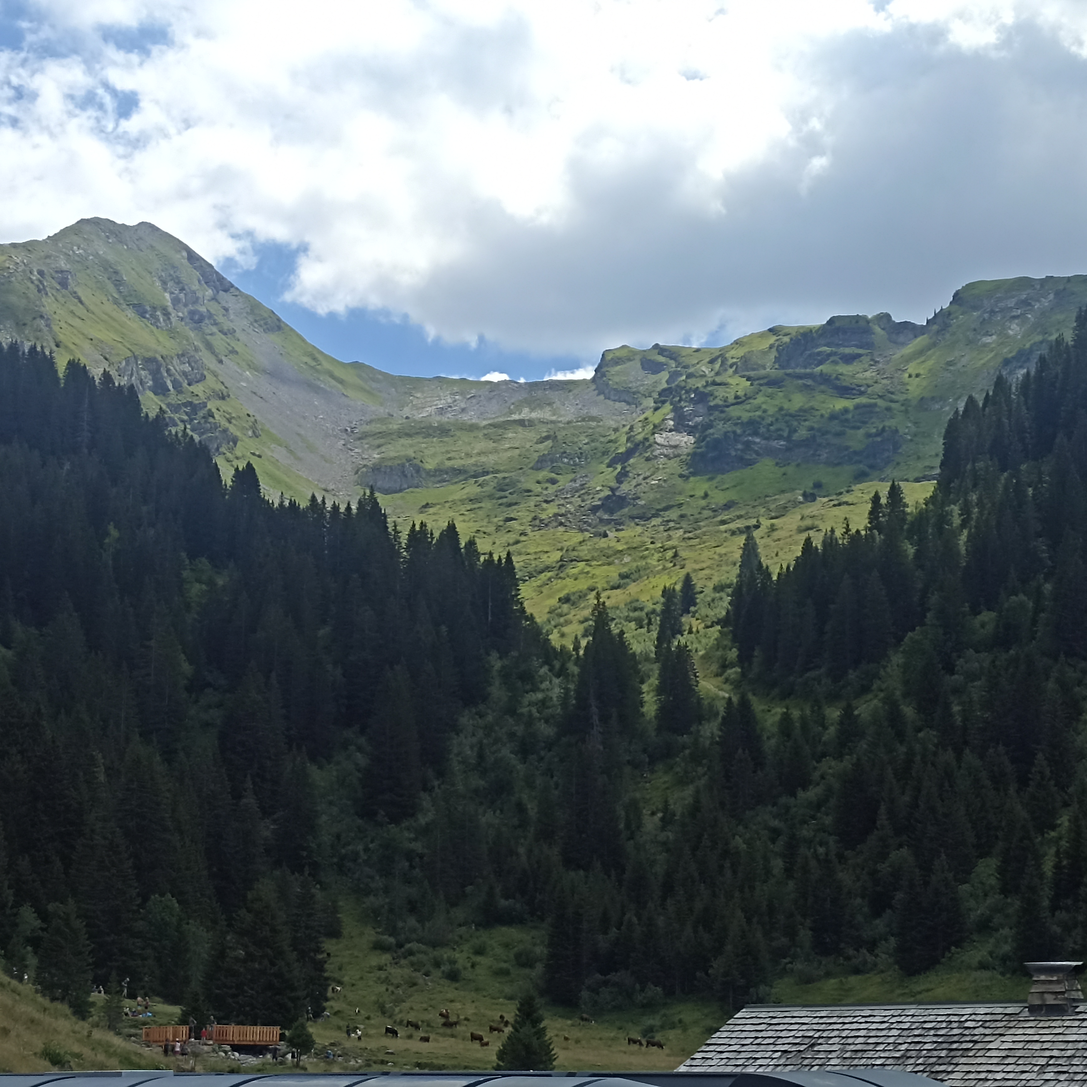 Photo n° 3 de l'avis de Benoit.i fait le 07/08/2022 à 13:27