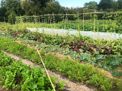 Les Jardins Voyageurs à Saint-Jean-des-Échelles