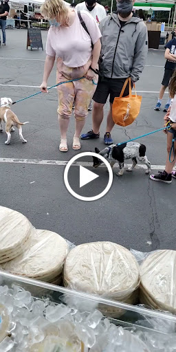 Tourist Attraction «Shoreline Farmers Market», reviews and photos, 15300 Westminster Way N, Shoreline, WA 98133, USA