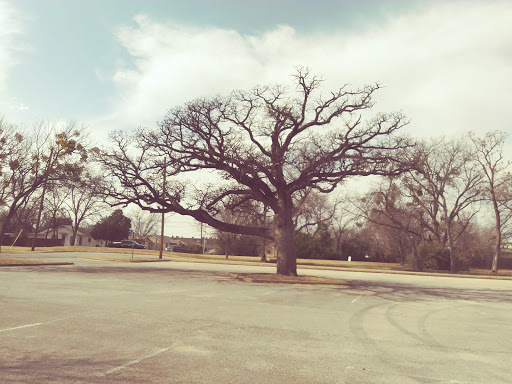 Park «Senter Park», reviews and photos, 700 S Mary St, Arlington, TX 76010, USA