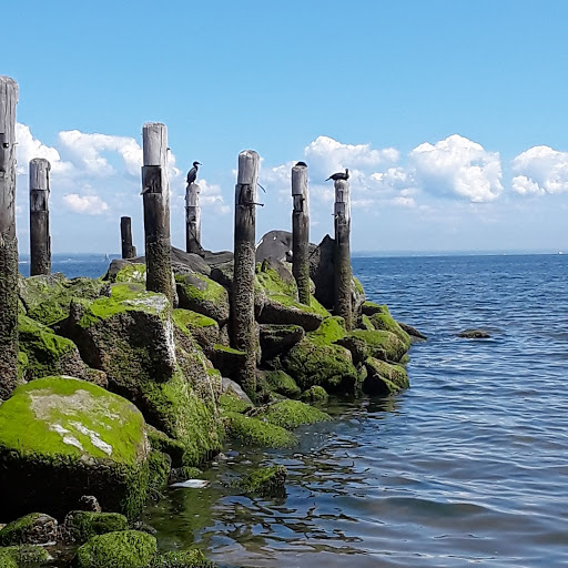 Tourist Attraction «Sands Point Preserve», reviews and photos, 127 Middle Neck Rd, Sands Point, NY 11050, USA