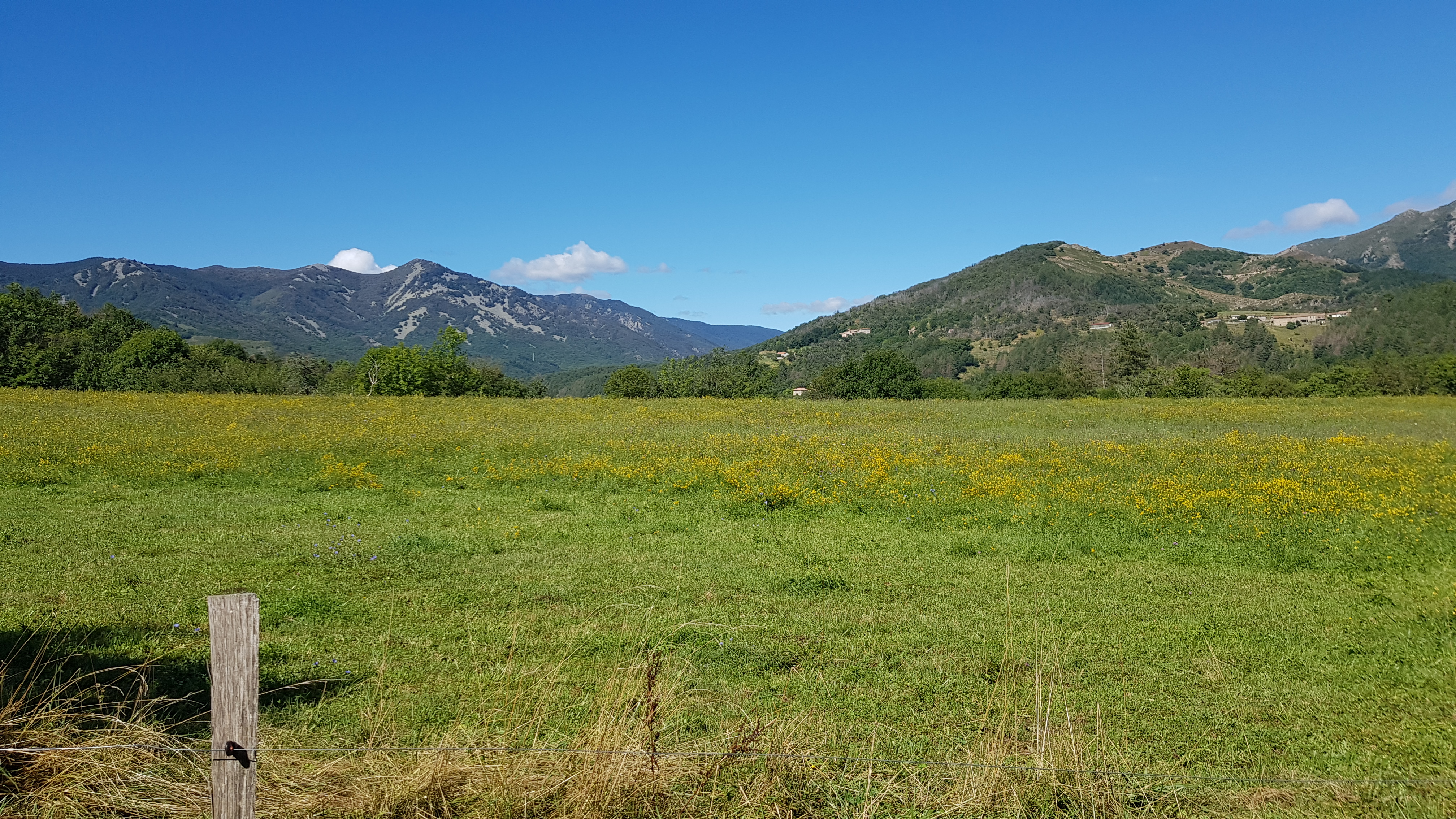 Photo n° 8 de l'avis de F. fait le 17/08/2020 à 14:02