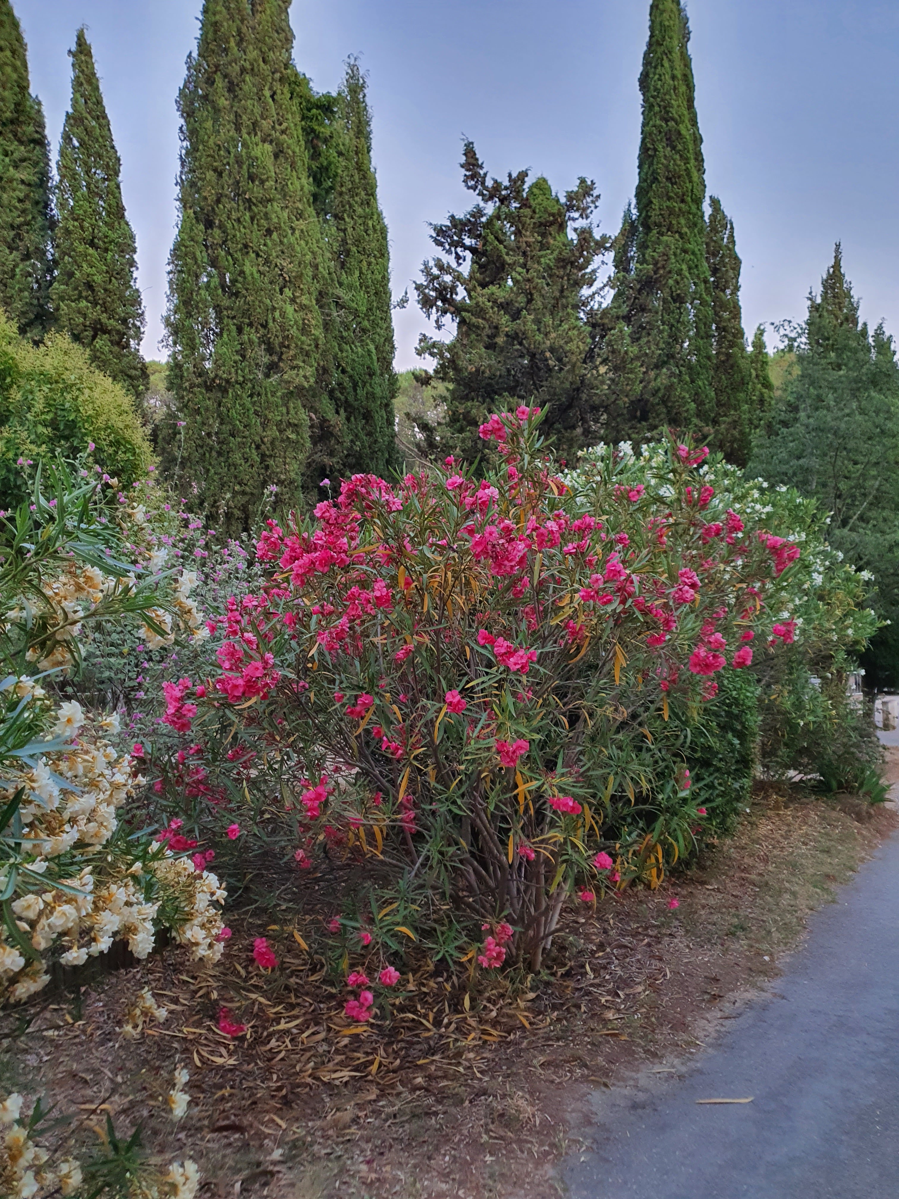 Photo n° 4 de l'avis de Annabelle. fait le 25/06/2021 à 20:49