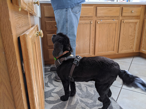 Pet Groomer «Woof Gang Bakery & Grooming Las Vegas», reviews and photos, 7080 N Durango Dr #140, Las Vegas, NV 89149, USA