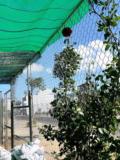 Top 7 cửa hàng hồng nhiên Huyện Khánh Vĩnh Khánh Hòa 2022