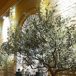 Photo n°2 de l'avis de Marco. fait le 13/07/2022 à 21:45 sur le  Mamma Rosa SBT à San Benedetto del Tronto