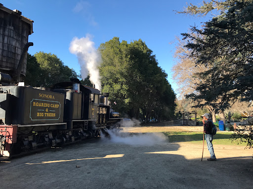 Roaring Camp
