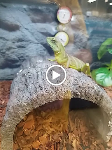 Pet Supply Store «Petco Animal Supplies», reviews and photos, 1520 N Parham Rd, Henrico, VA 23229, USA