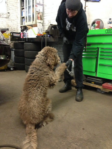 Auto Repair Shop «Towne Motor Car», reviews and photos, 79 Edward St, Buffalo, NY 14202, USA