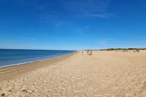 Playa de la Flecha de Nueva Umbría image