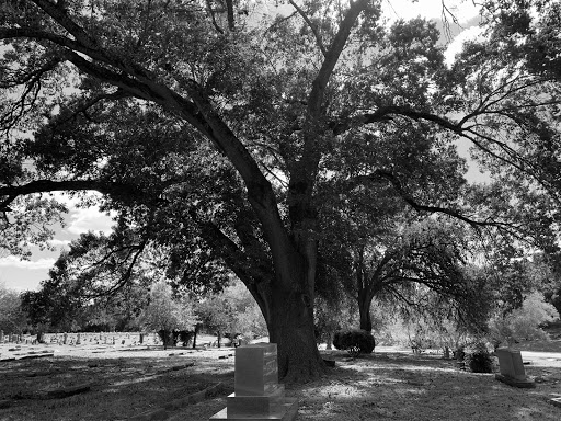 Funeral Home «Mission Park Funeral Chapels and Cemeteries», reviews and photos, 1700 SE Military Dr, San Antonio, TX 78214, USA