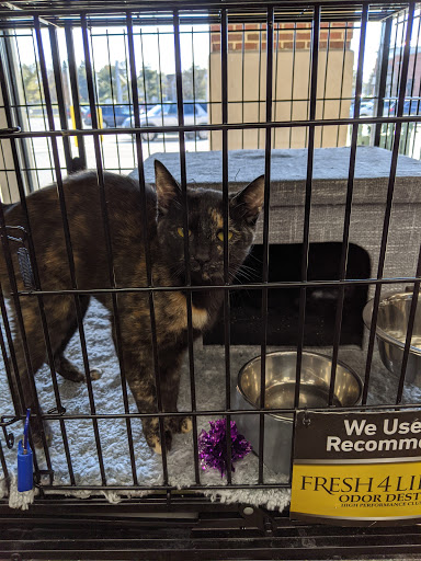 Pet Supply Store «Pet Valu», reviews and photos, 1305 West Seventh Street #28, Frederick, MD 21702, USA