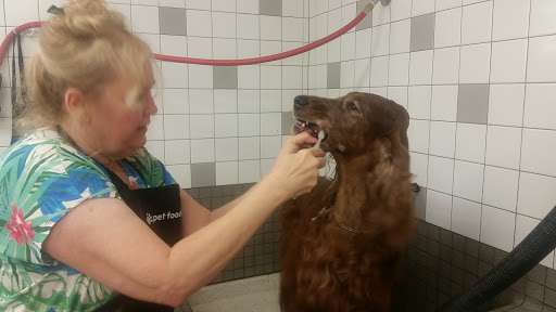 Pet Supply Store «Pet Food Express», reviews and photos, 15466 Los Gatos Blvd, Los Gatos, CA 95032, USA