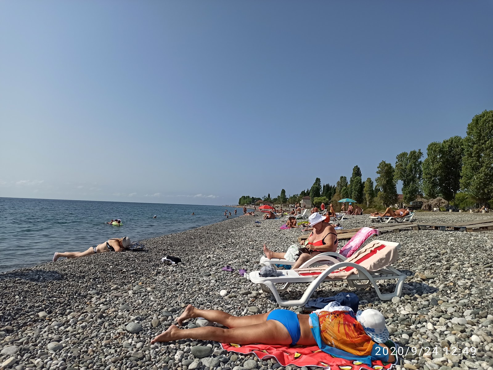 Foto af Leselidze beach beliggende i naturområde