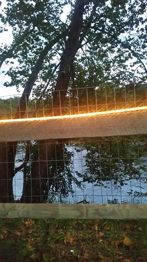 Restaurant «Salvage Station», reviews and photos, 468 Riverside Dr, Asheville, NC 28801, USA