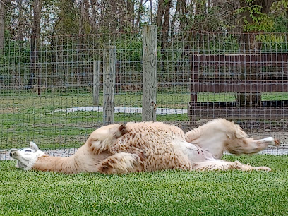 Hart-So-Big Alpaca Farm