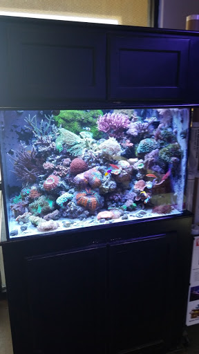 Tropical Fish Store «Aquatic Treasures», reviews and photos, 3211 N Tenaya Way #107, Las Vegas, NV 89129, USA