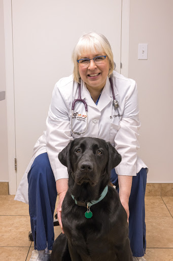 Rockford Animal Hospital image