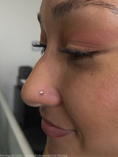 Explore 3 cat tattoo ideas, creative tattoo ideas in Boston, available at Arcadia Body Piercing