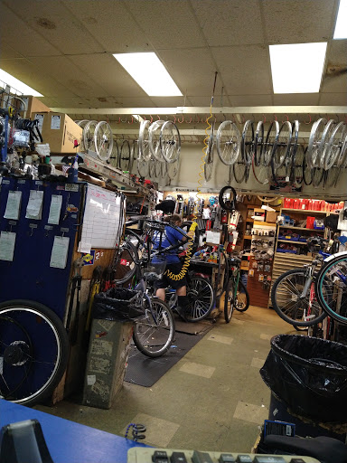 Bicycle Store «Lees Bicycle Shop», reviews and photos, 1101 US-1, Hollywood, FL 33020, USA